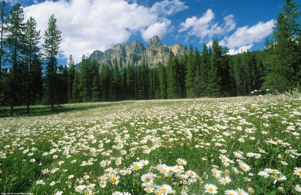 Hi Castle Mountain - Hostel Εξωτερικό φωτογραφία
